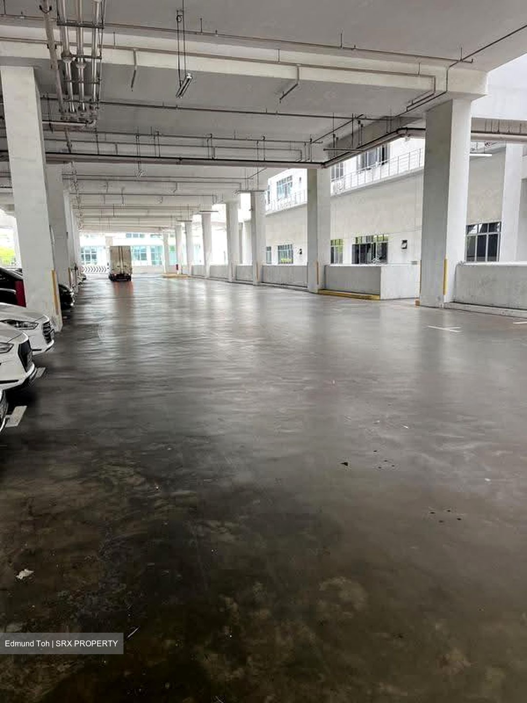 North Spring Bizhub (D27), Factory #637242381